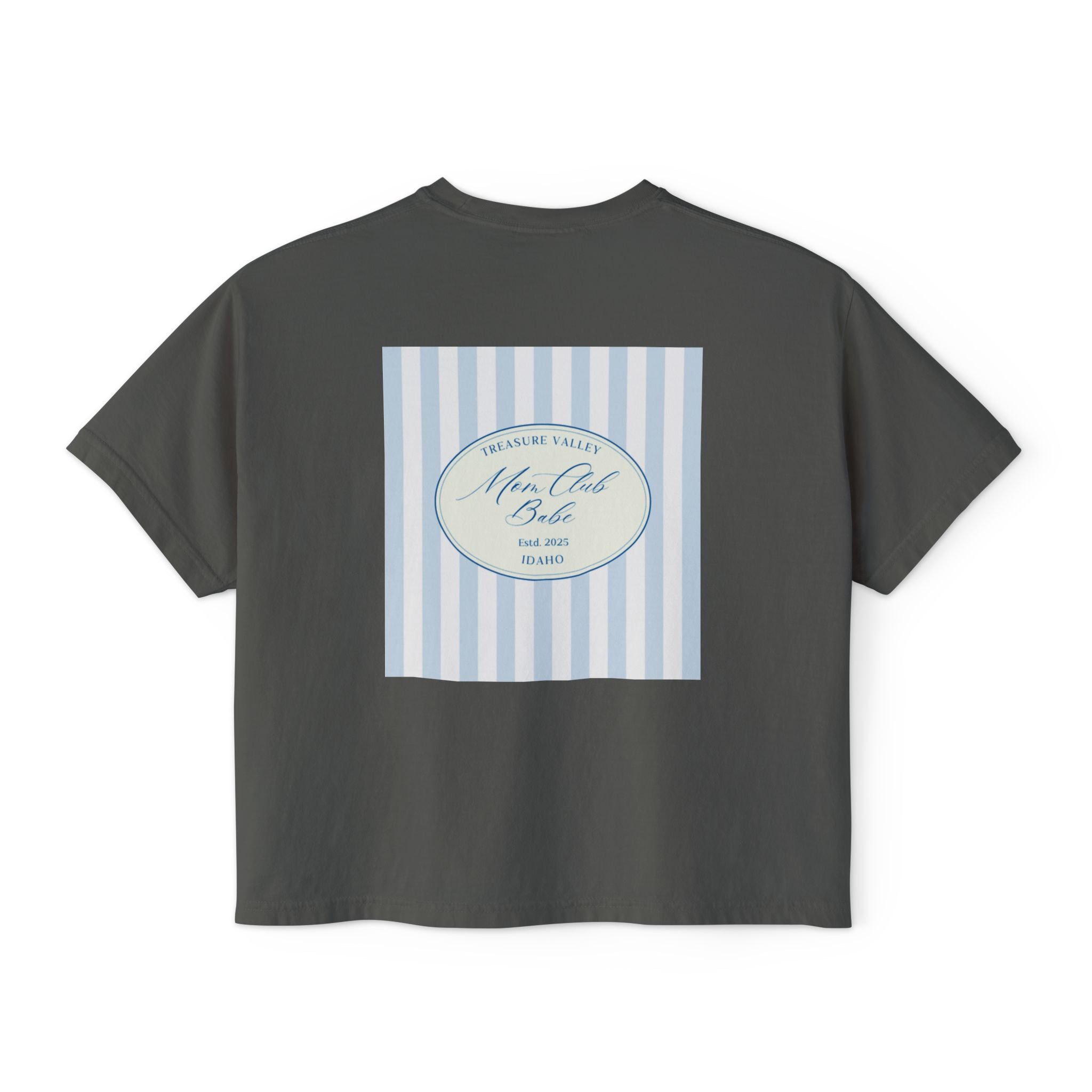 Treasure Valley Mom Club - Striped Graphic Tee