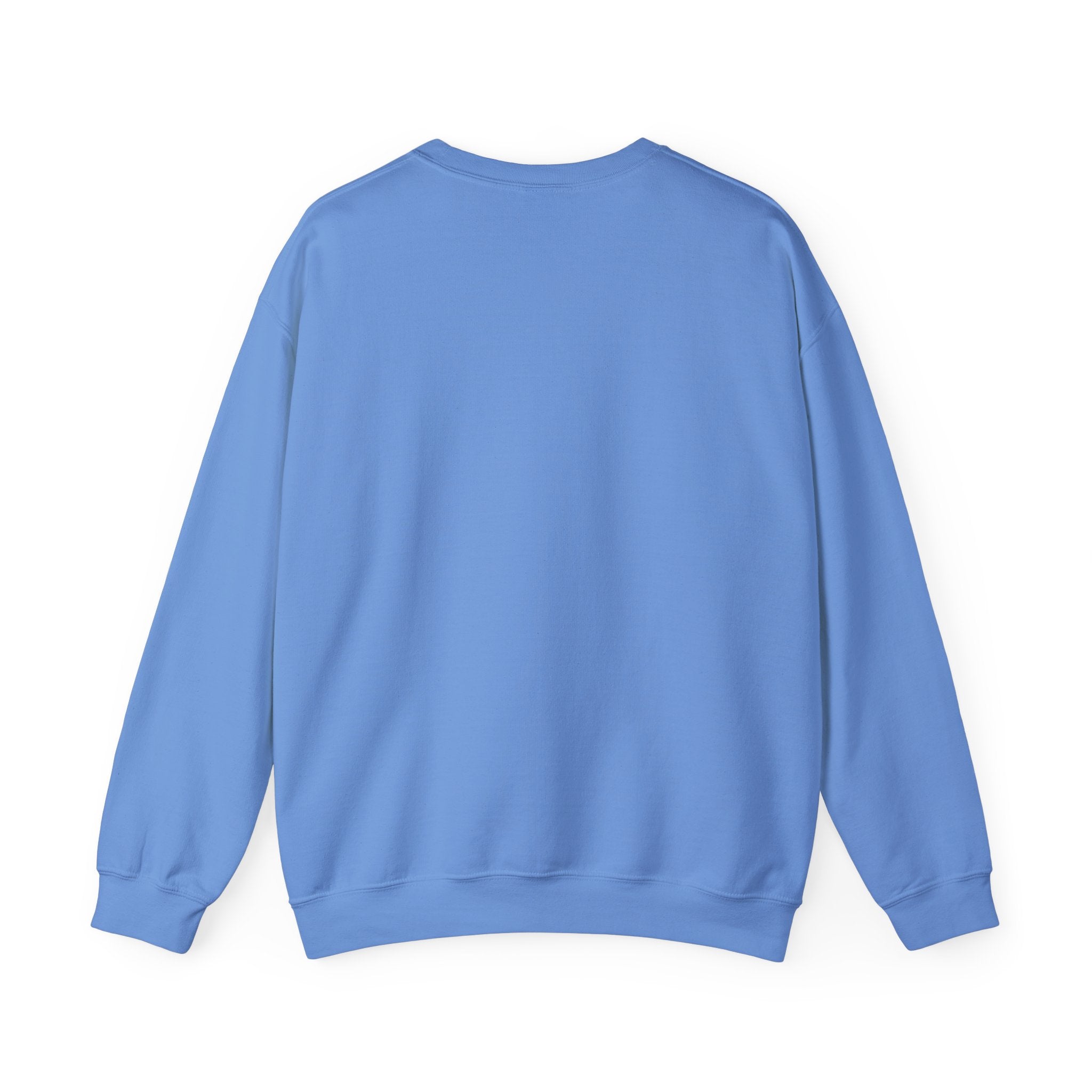 Salty Mom Babes Beach Club- Girls Just Wanna Have Sun Graphic Sweatshirt