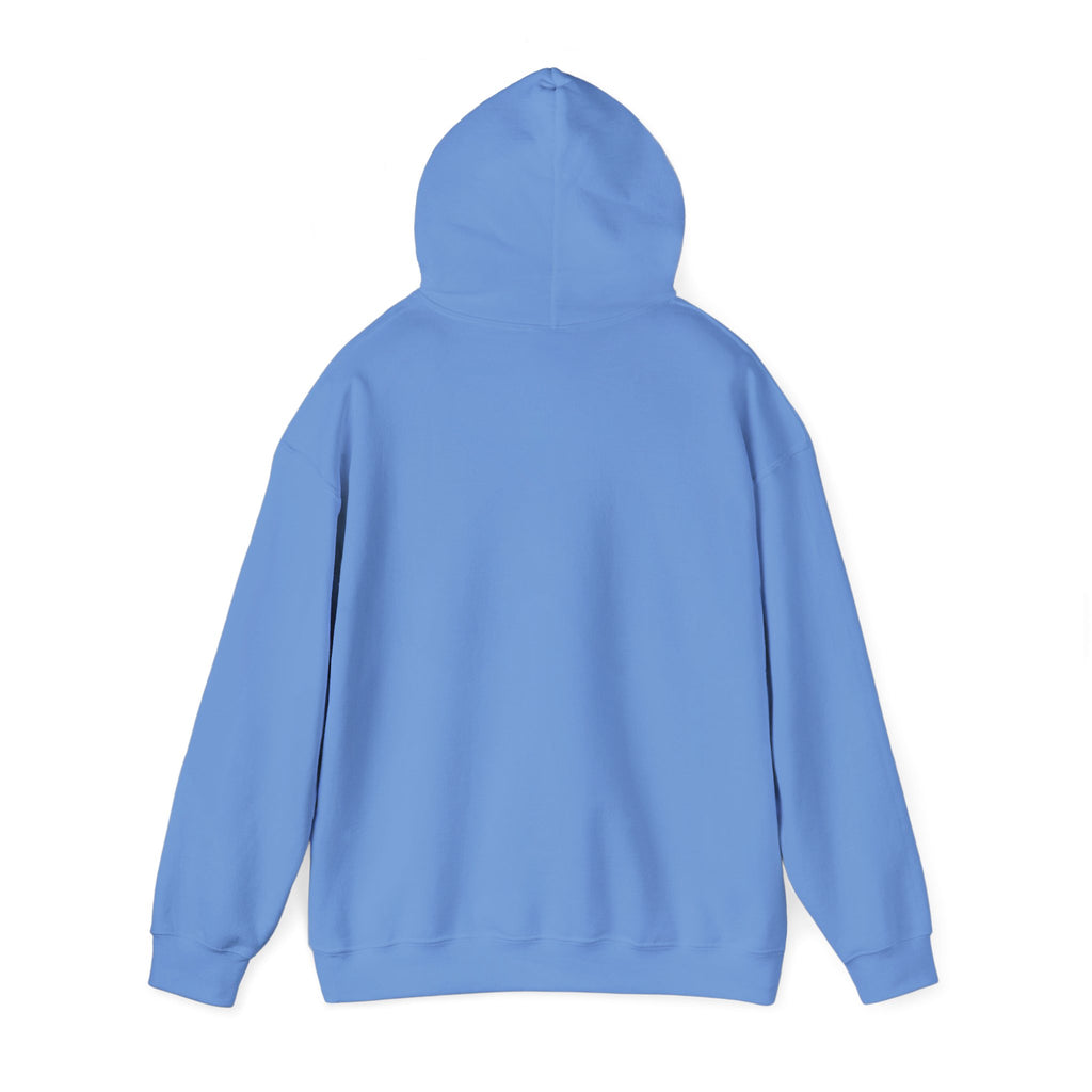 Salty Mom Babes Beach Club- Girls Just Wanna Have Sun Graphic Hoodie