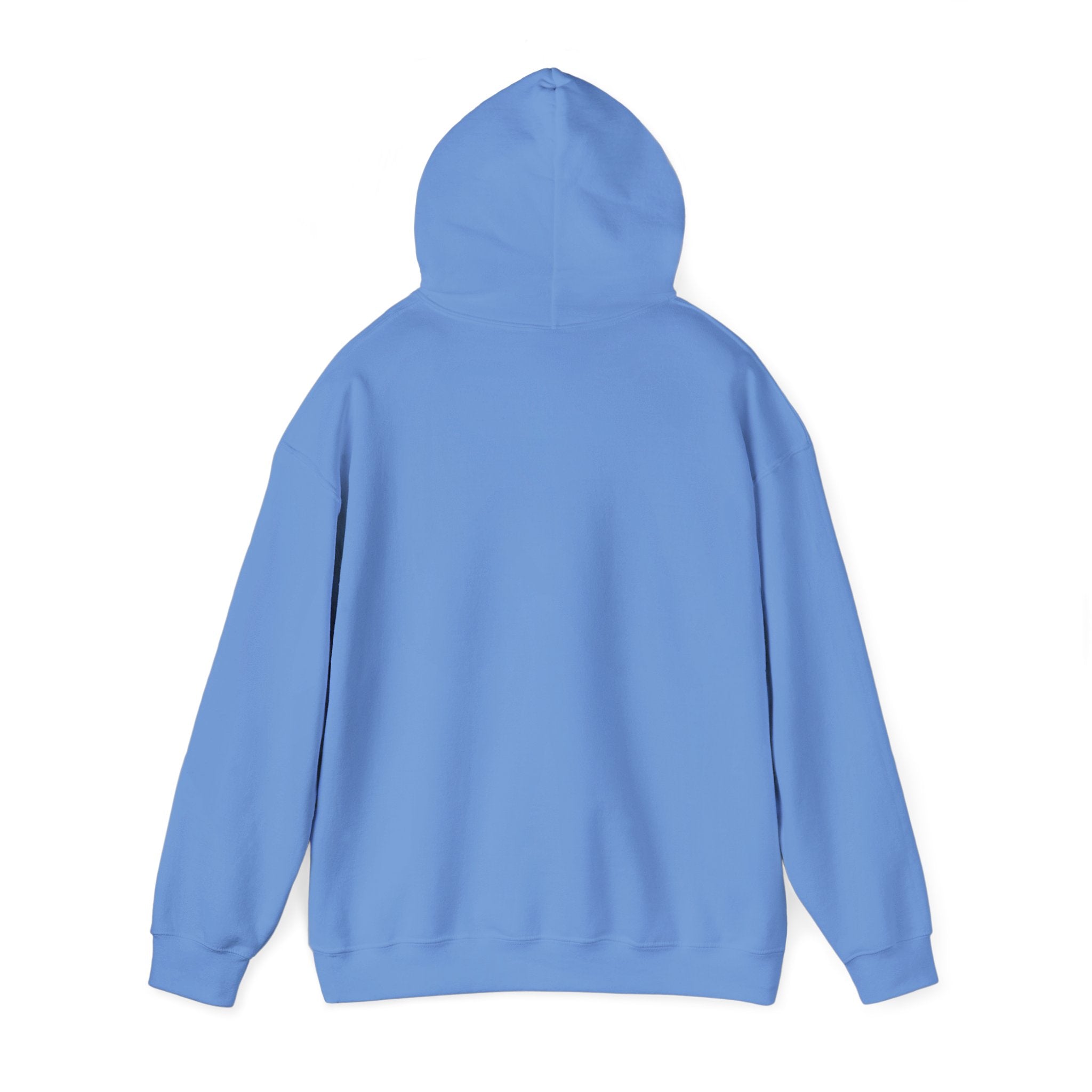 Salty Mom Babes Beach Club- Girls Just Wanna Have Sun Graphic Hoodie