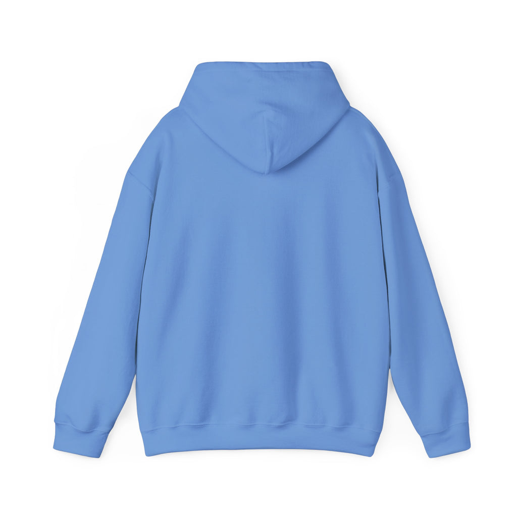 Salty Mom Babes Beach Club- Girls Just Wanna Have Sun Graphic Hoodie