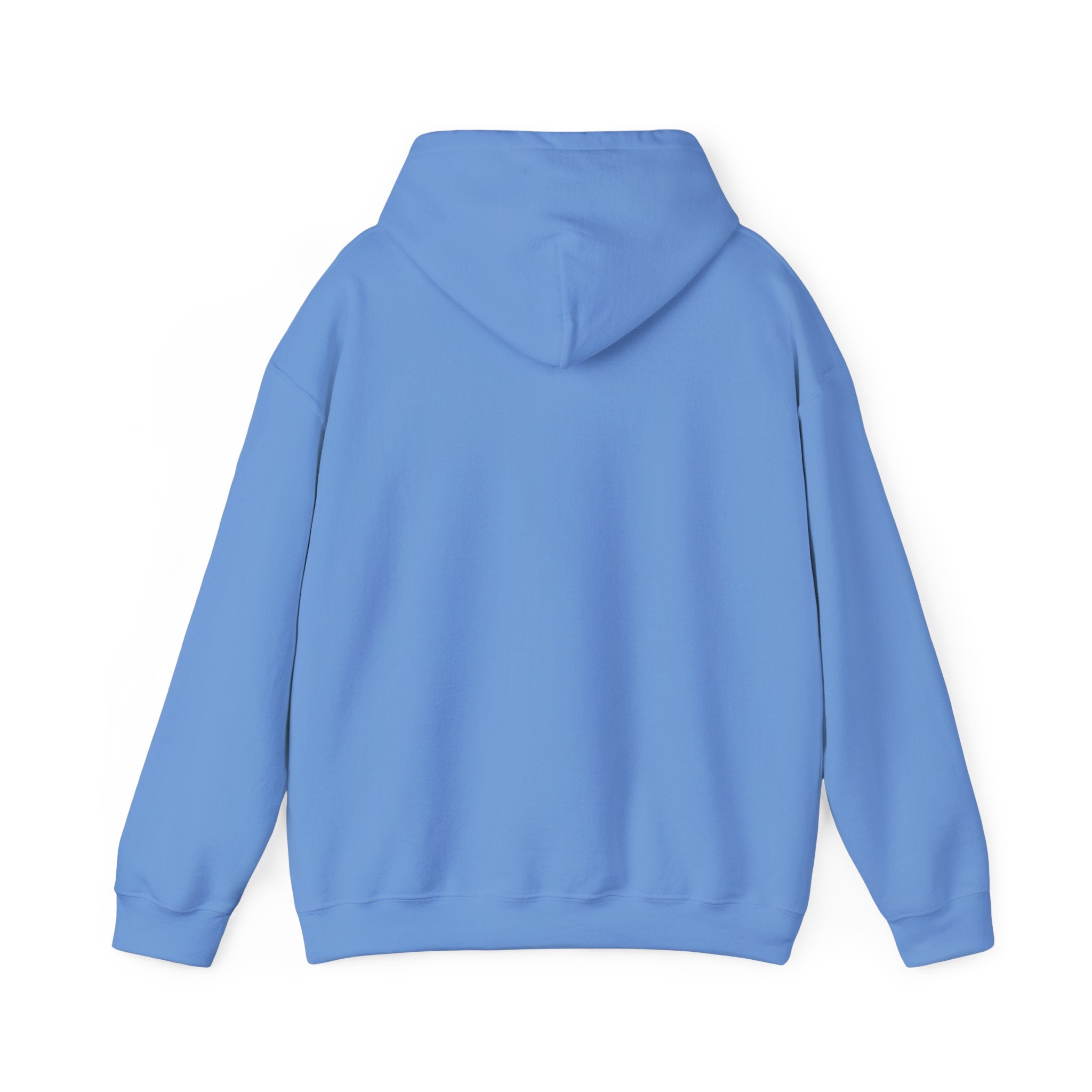 Salty Mom Babes Beach Club- Girls Just Wanna Have Sun Graphic Hoodie