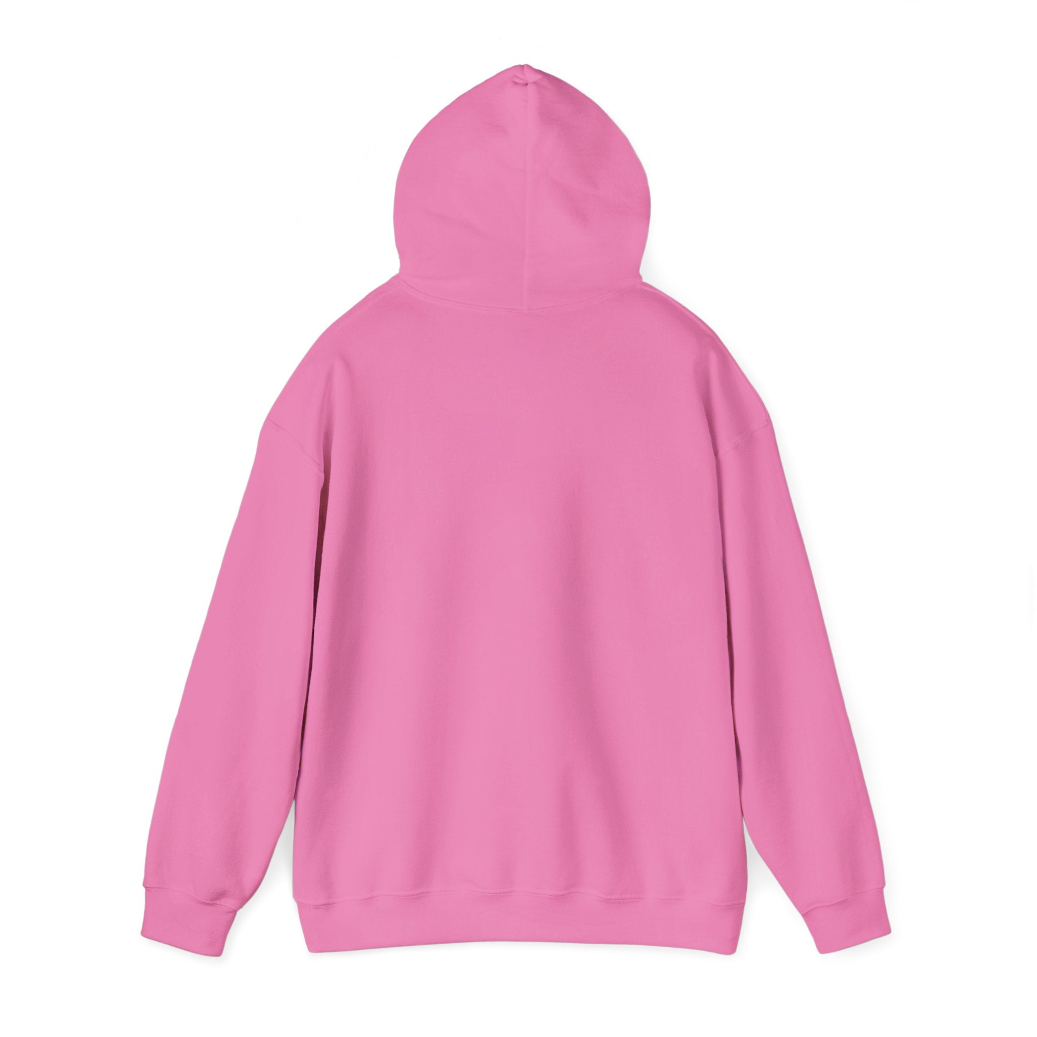 Salty Mom Babes Beach Club- Girls Just Wanna Have Sun Graphic Hoodie
