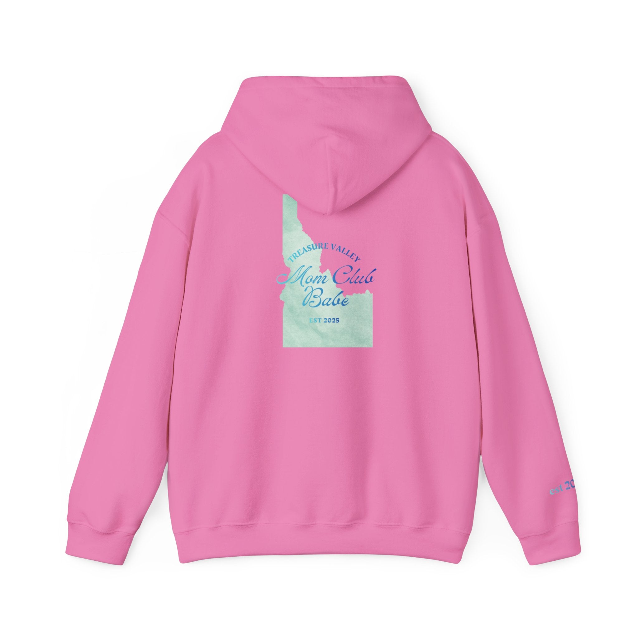 Treasure Valley Mom Club Babe — Idaho Graphic Hoodie